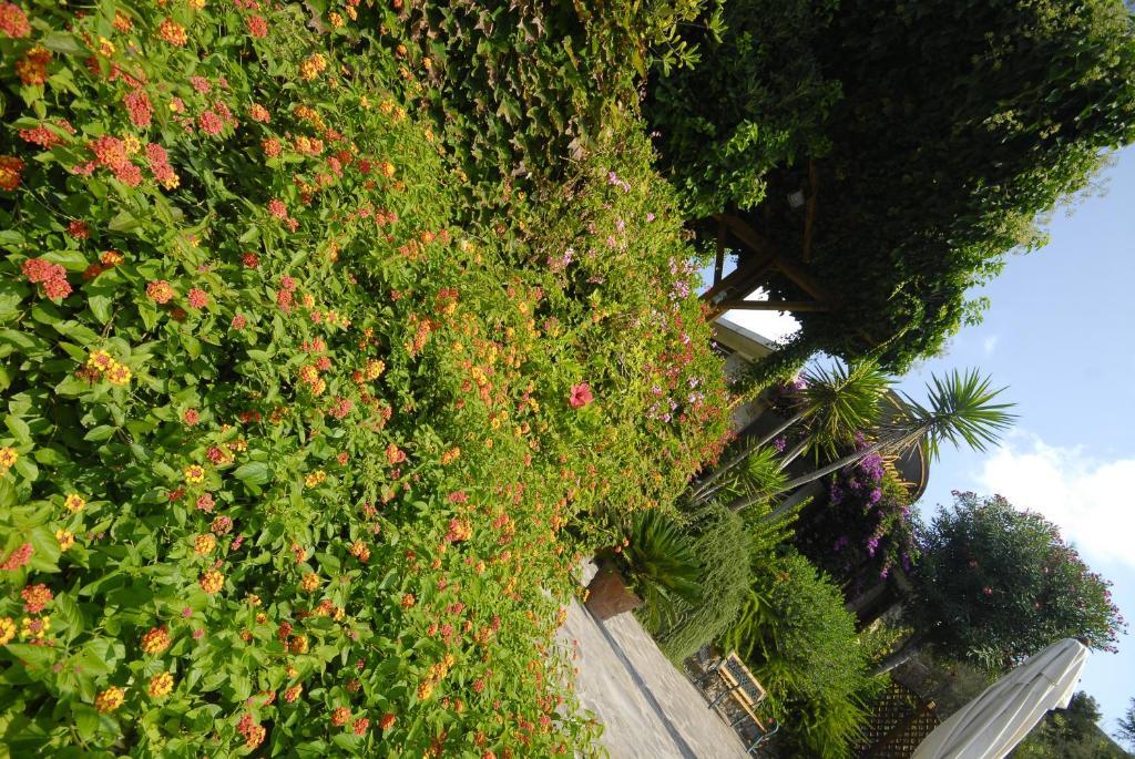 פורטופראיו Hotel Danila מראה חיצוני תמונה